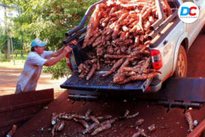 Diseno sin titulo 5 1