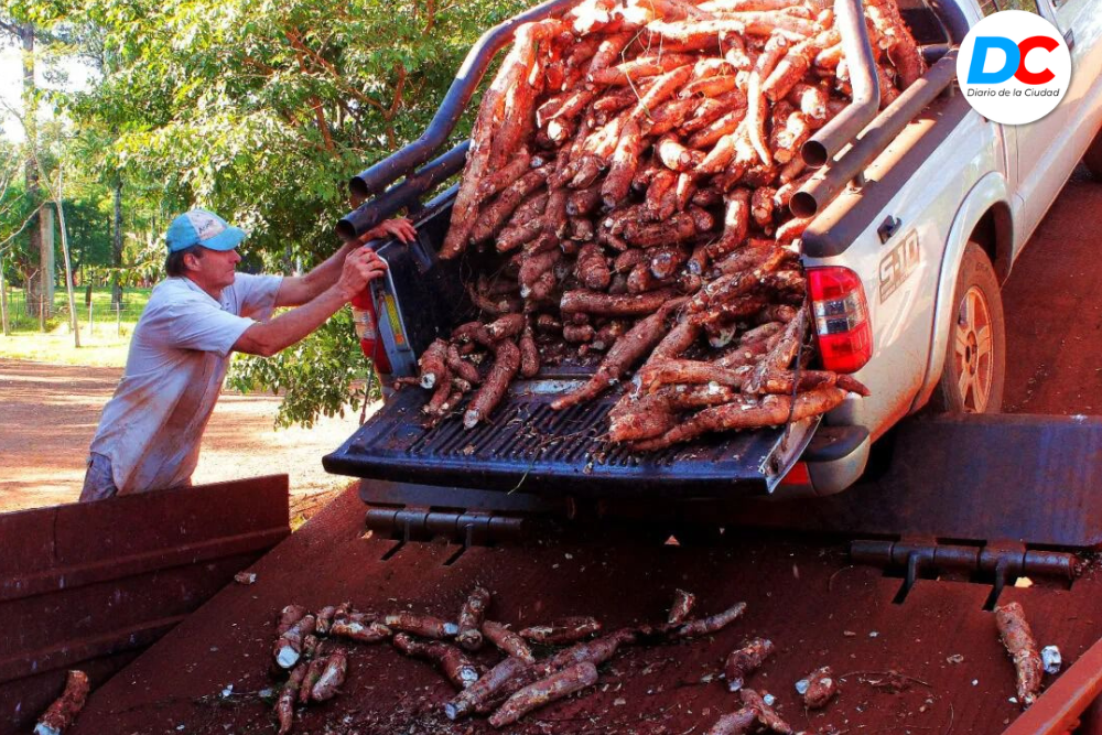 Diseno sin titulo 5 1