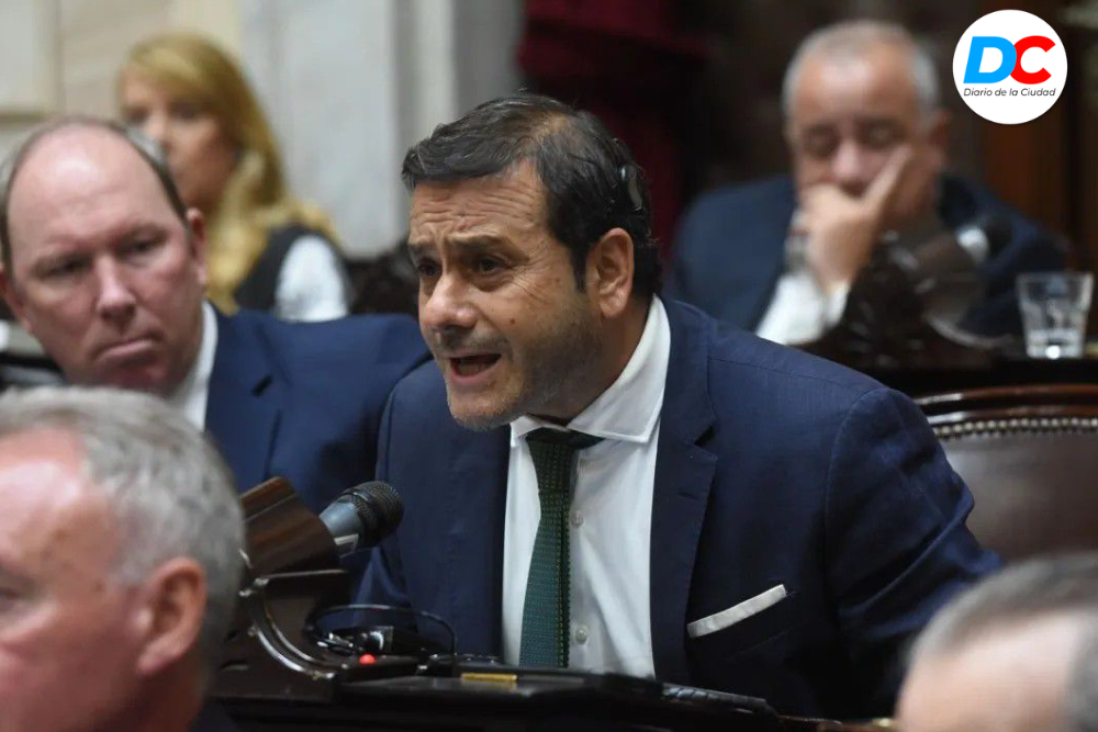 Misiones lleva al Congreso una batería de reclamos para defender las economías regionales 1 Diseno sin titulo 9